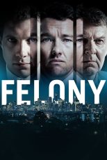 دانلود دوبله فارسی فیلم Felony 2013