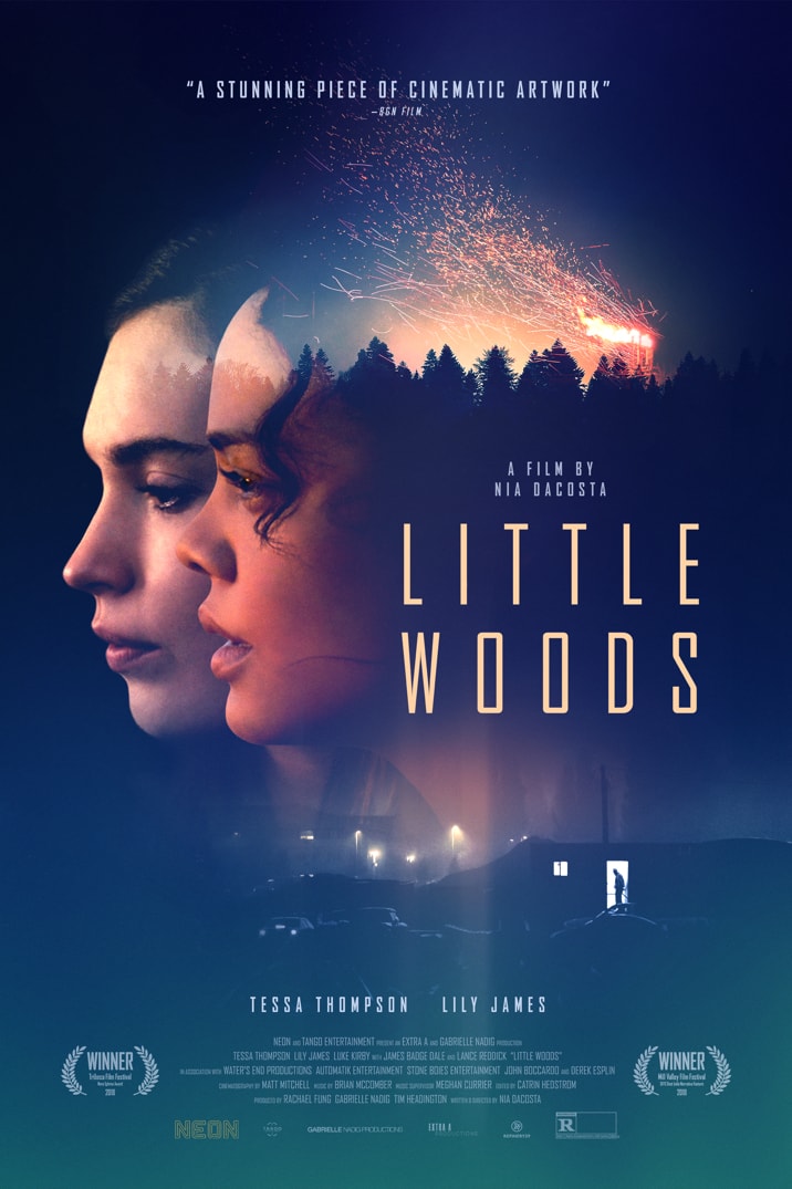 دانلود فیلم Little Woods 2018 با زیرنویس چسبیده
