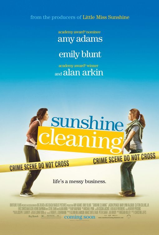 دانلود فیلم Sunshine Cleaning 2008 با زیرنویس چسبیده